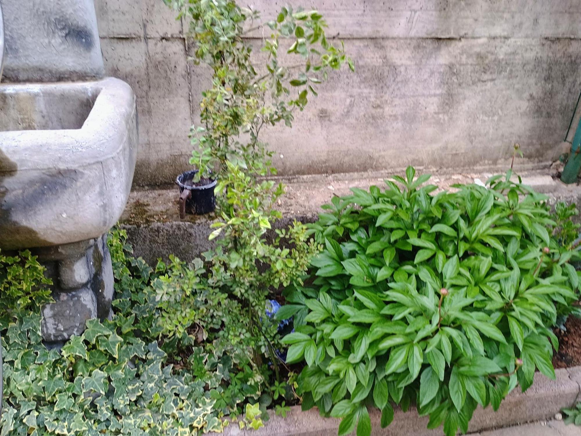 Lucky Star - Free Parking Apartment Rijeka Luaran gambar
